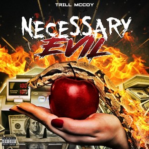 Necessary Evil (Explicit)