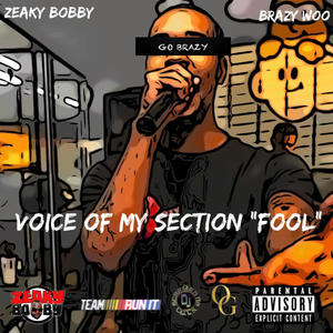 Voice Of My Section "Fool" (Explicit)