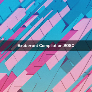 EXUBERANT COMPILATION 2020