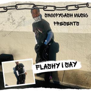 Flashy I Say