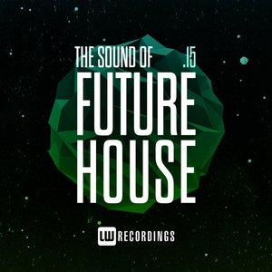 The Sound Of Future House, Vol. 15 (Explicit)
