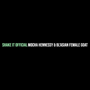 Shake It Official (Explicit)