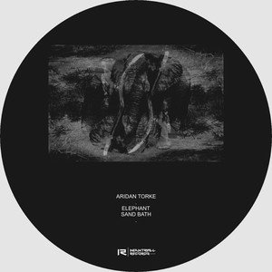 Monarch Butterfly (Original Mix)