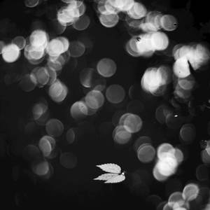 The Secrets of Love (Explicit)