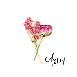 너라서 (因为是你)