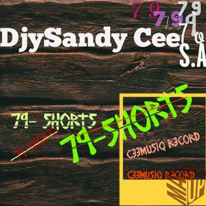 79_Shorts_-X__- (Francisco Main Mix|Music to Kabza DE Small_TNK MusiQ|Stoop305)