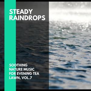 Steady Raindrops - Soothing Nature Music for Evening Tea Lawn, Vol.7