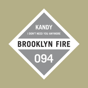 I Don't Need You Anymore (Original Mix)