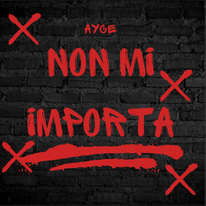 Non mi importa (Prod. YNG LARY) (Explicit)