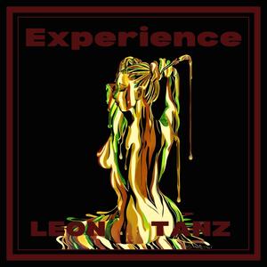 Experience