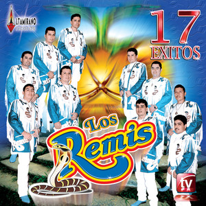 17 Exitos (Ando En Busca)