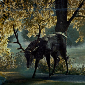 那个谁，还有那谁谁