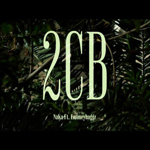 2CB (feat. Emoneybagg) (Explicit)