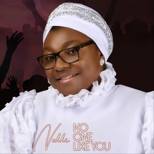 No One Like You