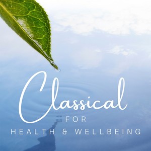 Canzonetta In G-Sharp Minor, Op. 26