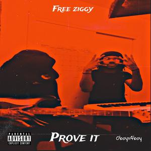 PROVE IT (feat. Ziggystillkountin) (Explicit)