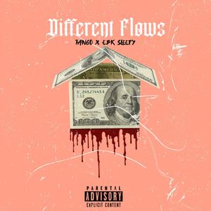 Different Flows (Explicit)