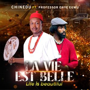 LA VIE EST BELLE (Life is beautiful) (feat. Professor Onye Egwu)