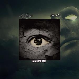kan du se mig (feat. FREDD) (Explicit)