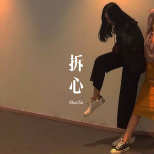 天边的雪莲花 (Remix)