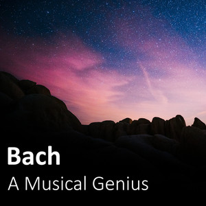 Sonata No. 4 In E Minor, BWV 528 - J.S. Bach: Sonata No. 4 In E Minor, BWV 528 - 1. Adagio - Vivace (第1楽章:Adagio - Vivace|ダイ１ガクショウ)
