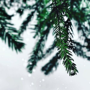 About Time for Presents