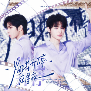 烟花升停在星夜