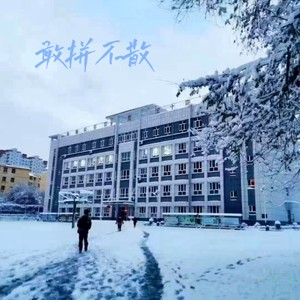 敢拼不散