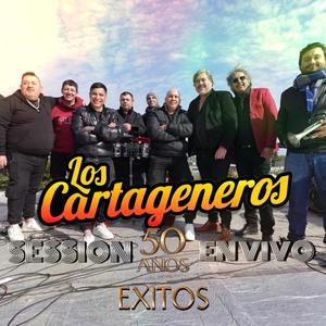 Sessión de Exitos En vivo II (En vivo)