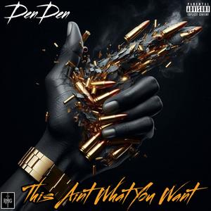 This Aint What You Want (Explicit)