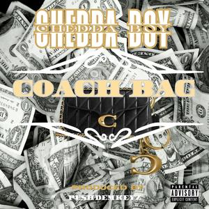 COACH BAG (Explicit)