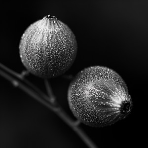 The Downward Spiral in a Ball Gown