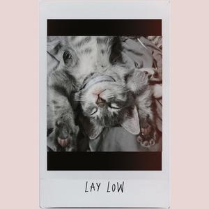 Lay Low