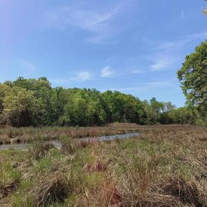 nimbus (feat. spectric & infamous)