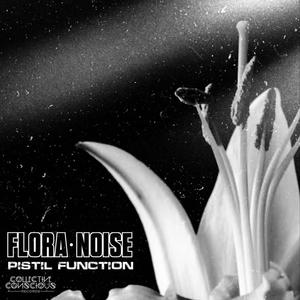 Pistil Funktion