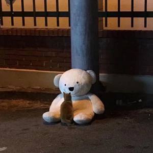 关于孤独我想说的话