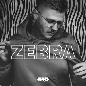 Zebra (Explicit)