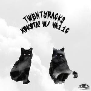 twenty racks (feat. va11c) (Explicit)