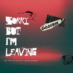 Sorry but im leaving (feat. Gross Prophet)