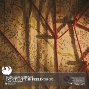 Don't Let The Feelings Go (feat. Junior Paes)