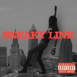 Sneaky Link (Explicit)