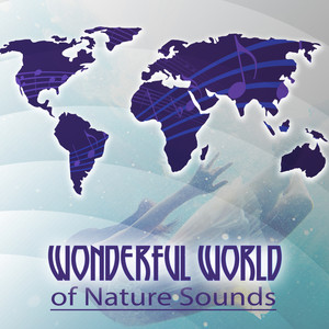 Wonderful World of Nature Sounds – Splendid and Positive New Age Sounds, Serenity Music, Sentimental Journey, Sound of Silence, Deep Inner Peace, Relaxing Tones