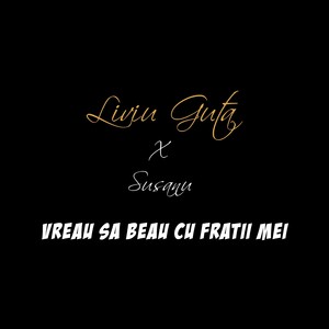Vreau Sa Beau Cu Fratii Mei