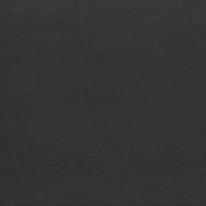 swagnfvkkkalllkkcahiocspohienovi (feat. WASTEEY MONROE) (Explicit)