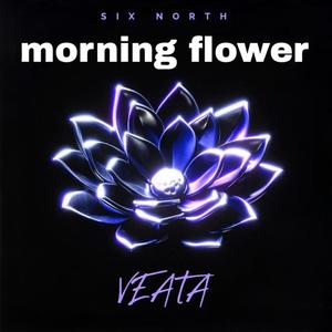 morning flower (Explicit)