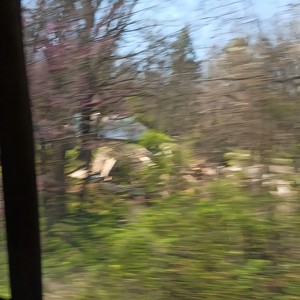 lonnnnlyyyyyy (Acoustic)