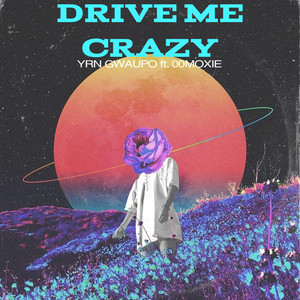 Drive Me Crazy