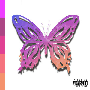 Butterfly Effect (Explicit)