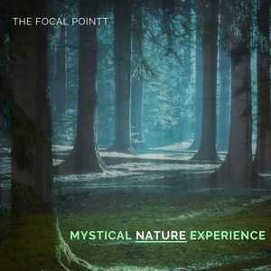 Mystical Nature Experience