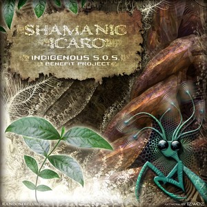 Shamanic Icaro